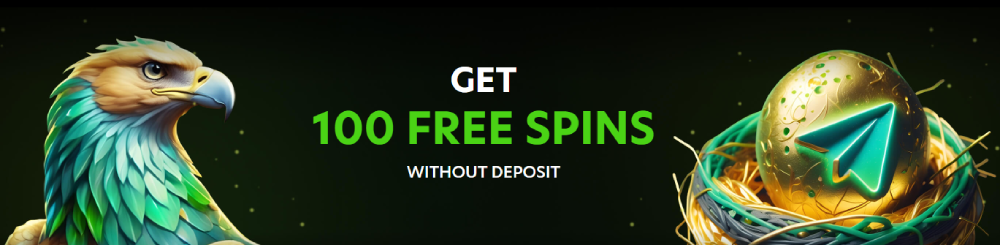 Neospin Kontakt & Support